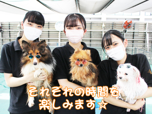 ドッグランでモデル犬とプール♪～２日目～